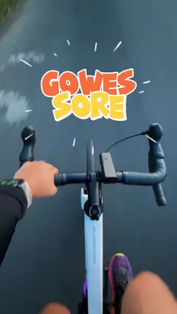 GOWES TEMPLATE