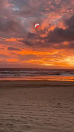 Tiktok / erhanlyrics