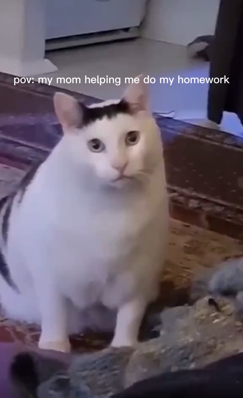 嗯猫迷因