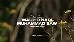 vlog kegiatan maulid