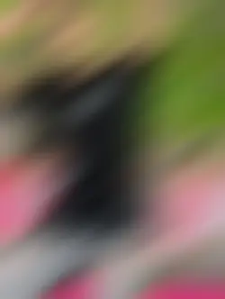 ❝ 𝐎𝐥𝐝 𝐃𝐚𝐢𝐫𝐲__📝🐬"