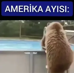 Amerikan & Türk
