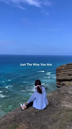 Just The Way You Are