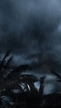 Surah Ar-Rahman 1:28