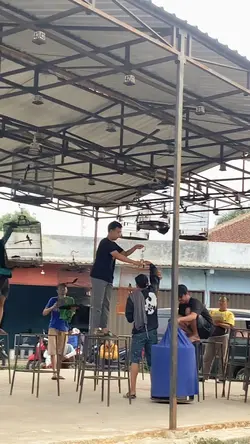 JJ Lomba Burung Vira