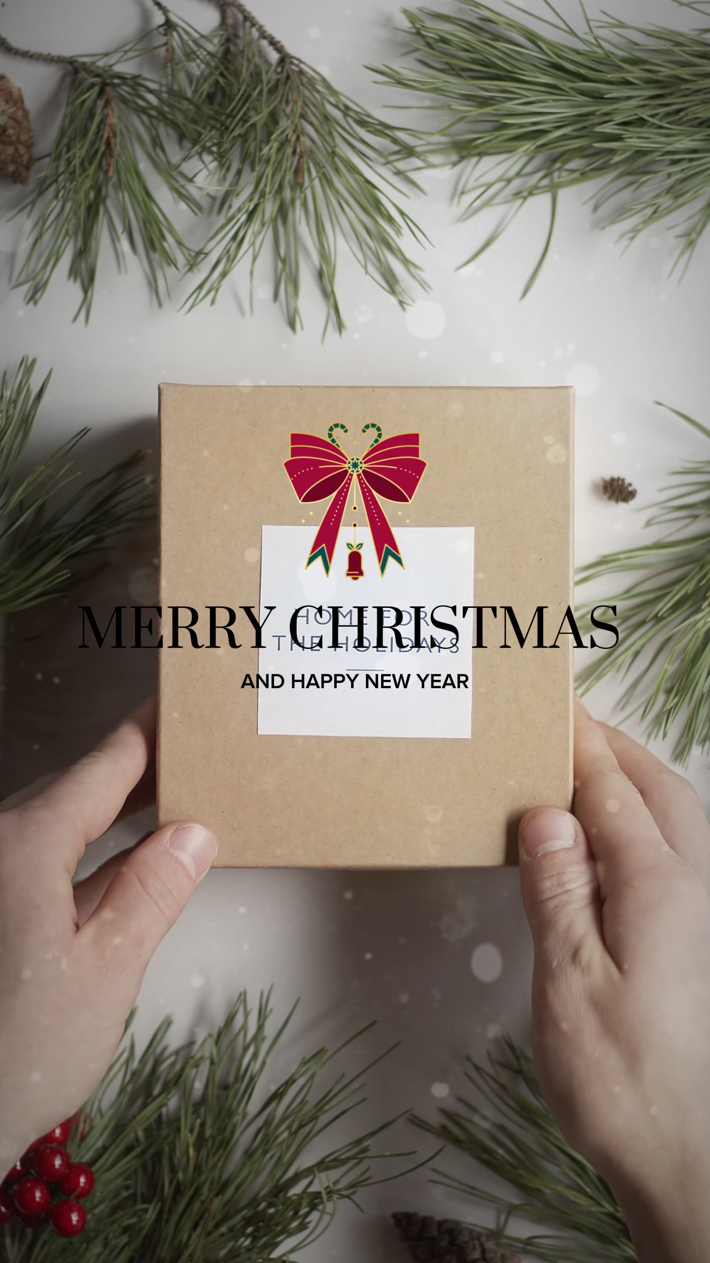Feliz Navidad 