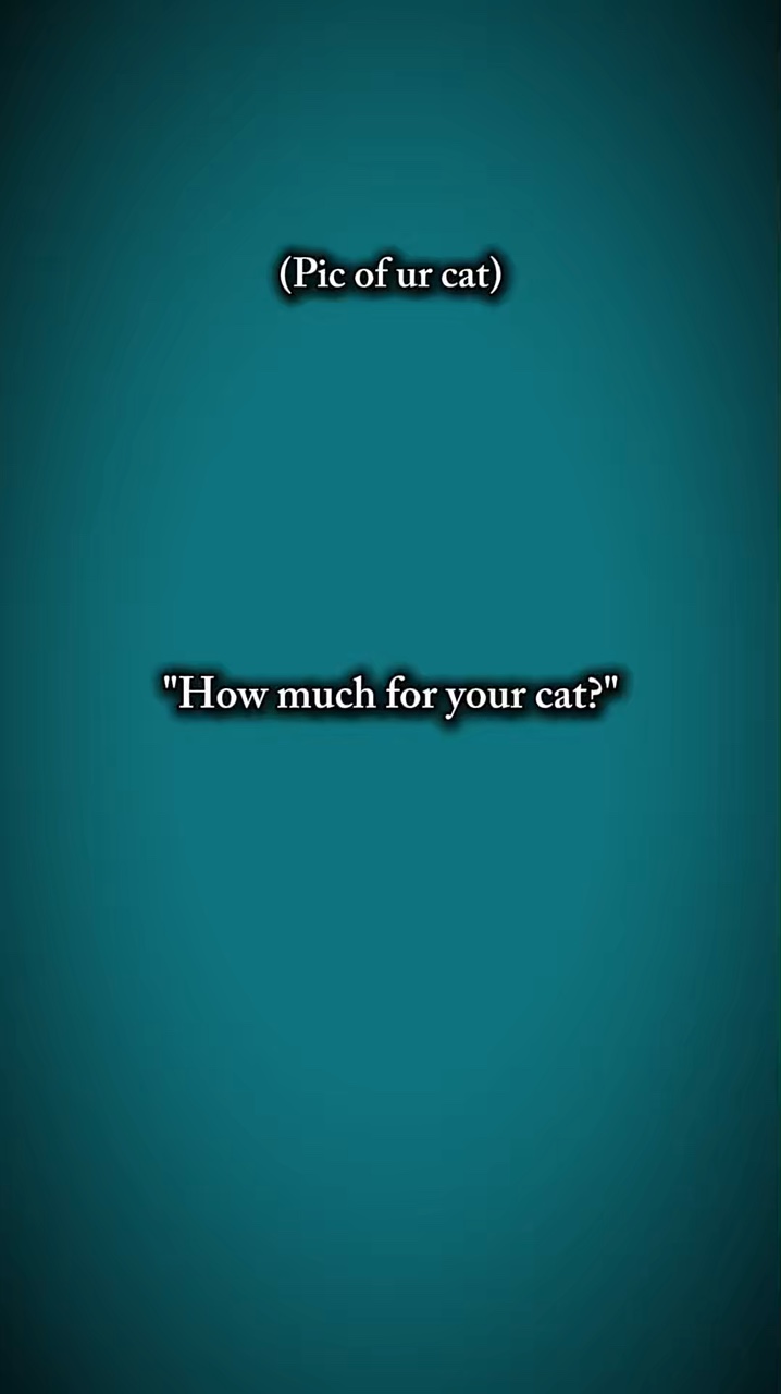 Ihre Katze