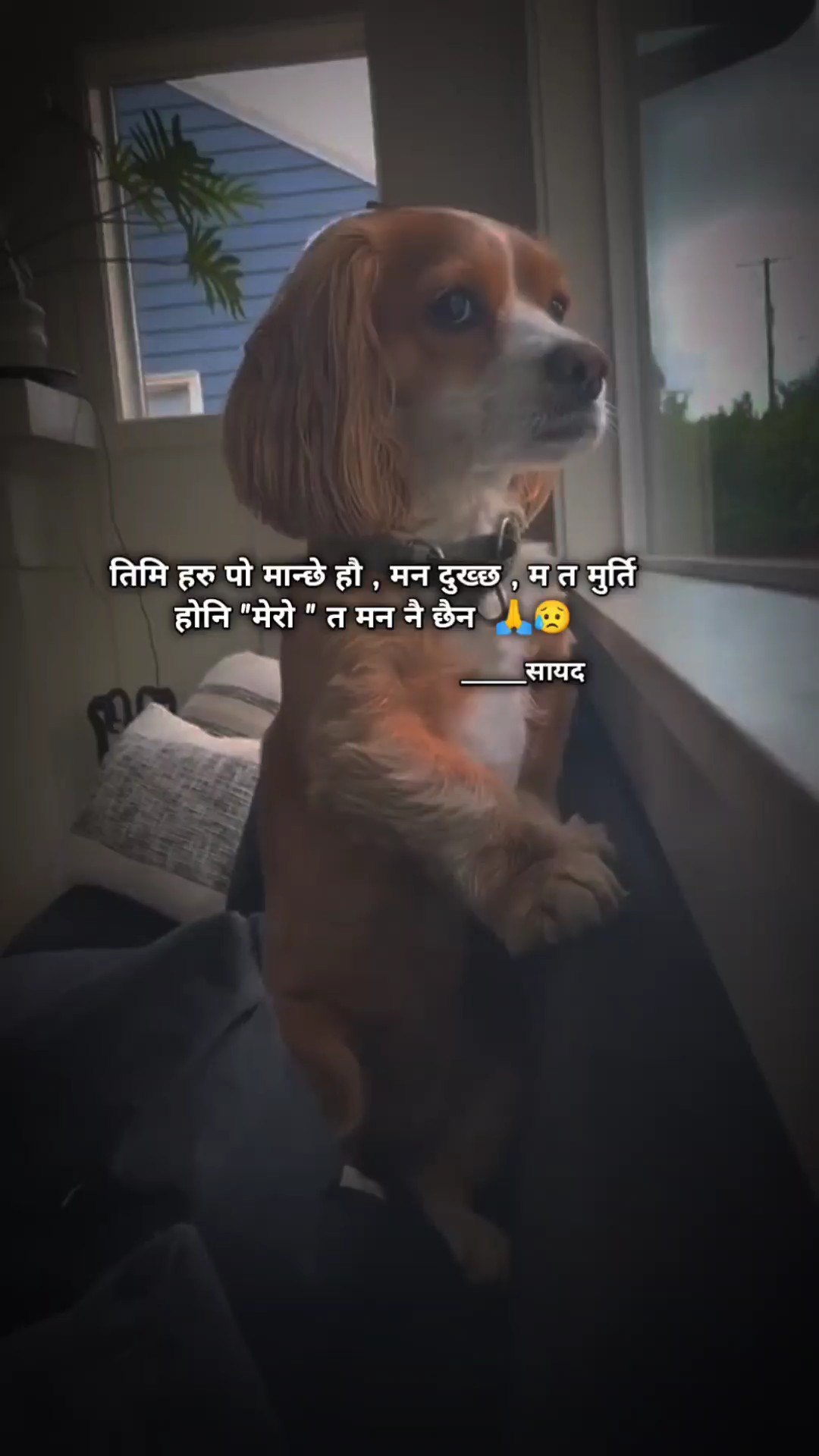 मुटु छुने क्याप्सन