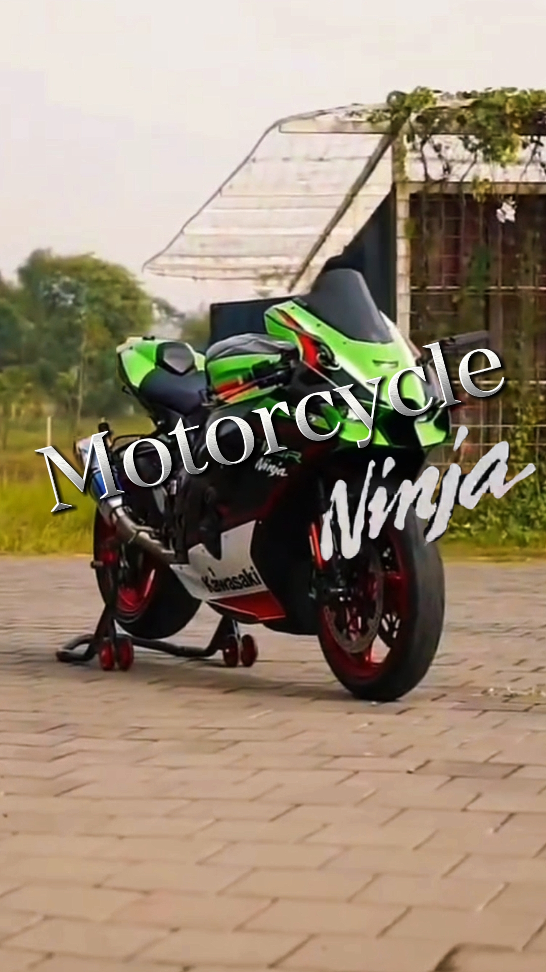 Motocicleta