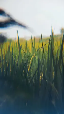 Mini Vlog Aesthetic
