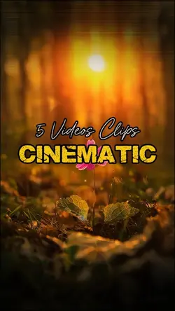 5 Videos Clips