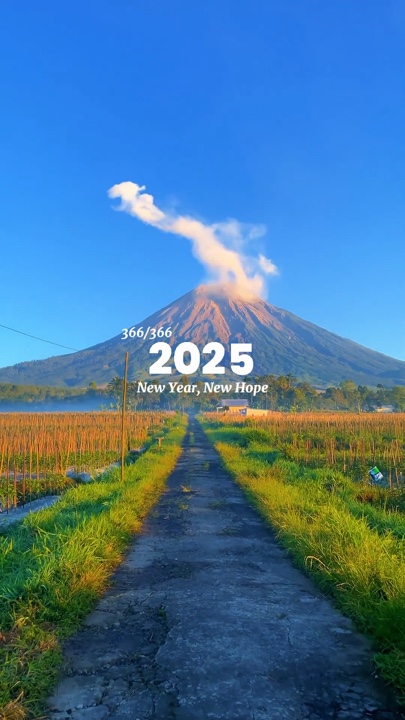 Yeni Yıl 2025