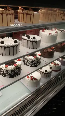cake & bakery