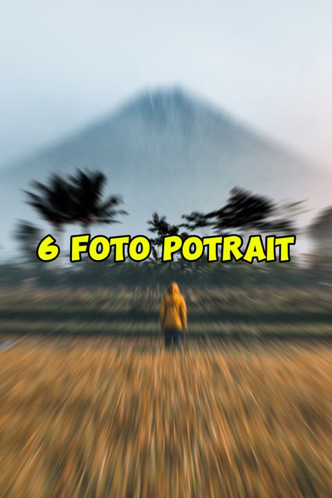 6 foto potrait