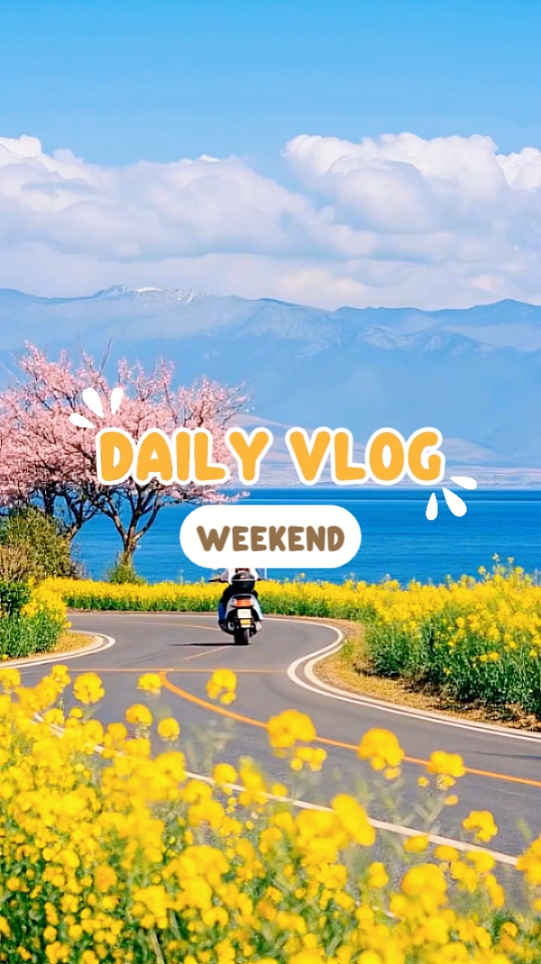 VLOG DIÁRIO