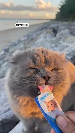 เธอจะกินเก่งไปนะ