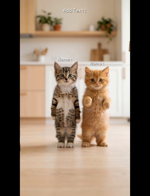 Dance Cat Trend