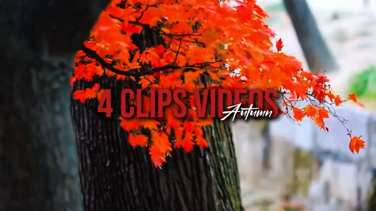4 Vidéos Automne
