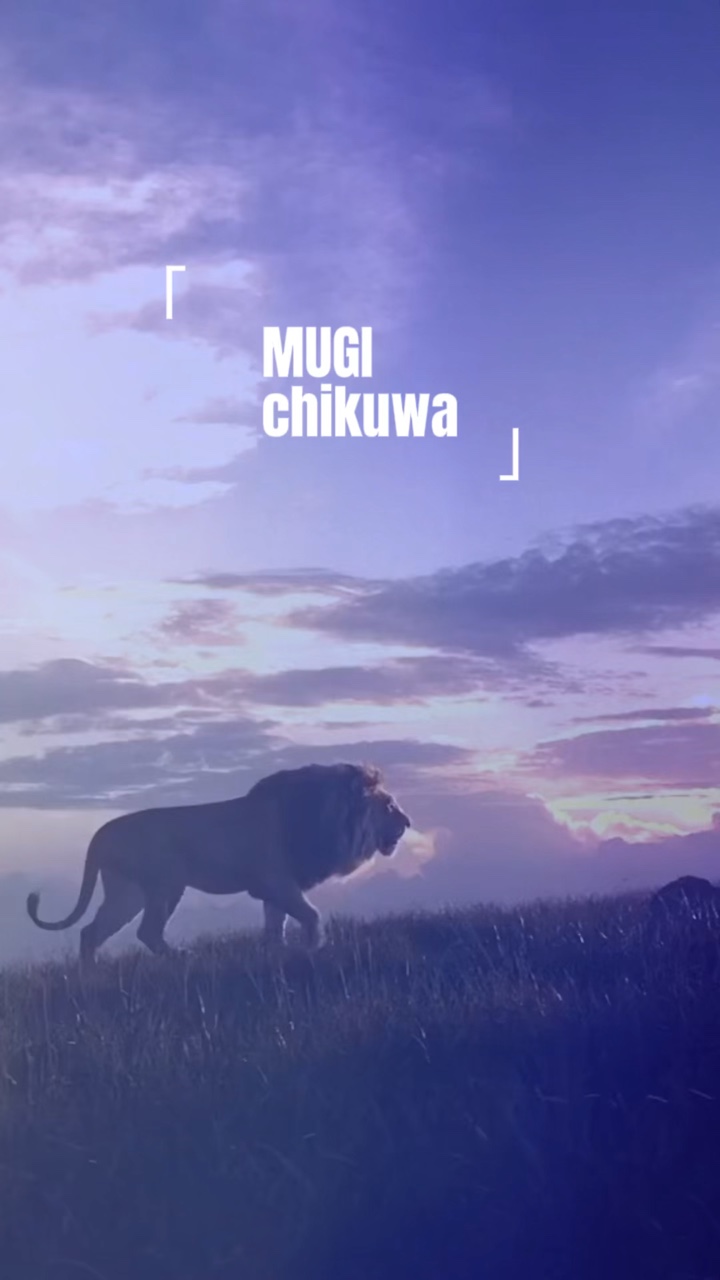 むぎ❤️チクワ