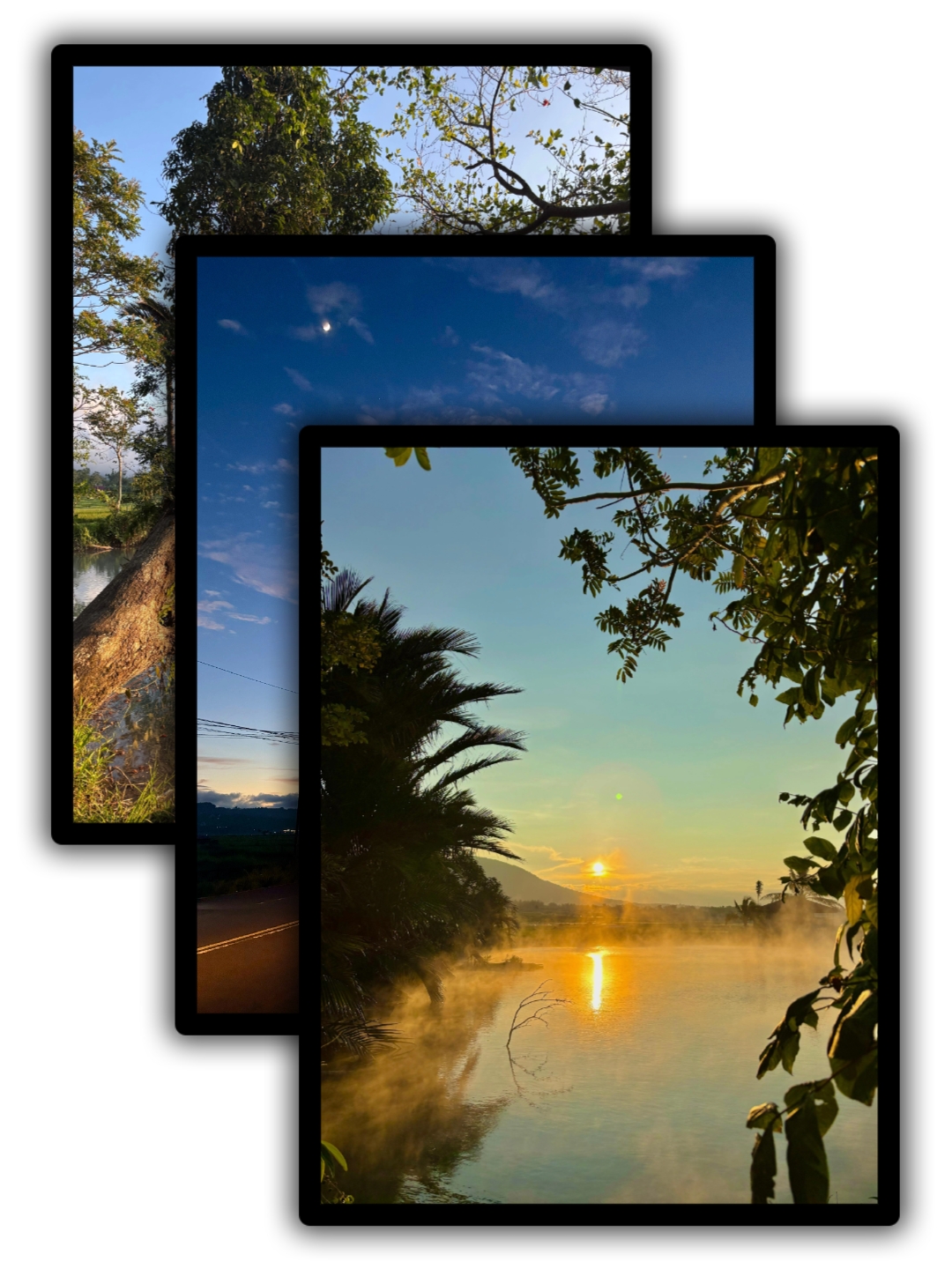 3Pic Frame Estética