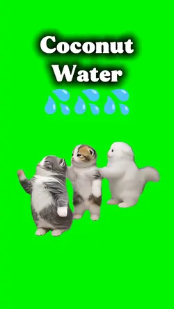 Coconut Water Dance