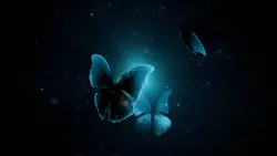 butterfly intro ²⁶