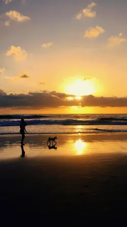 Sunset estetik