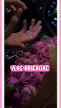 vlog valentine 