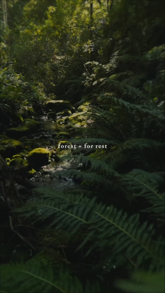 Hutan
