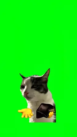 Memes greenscreen