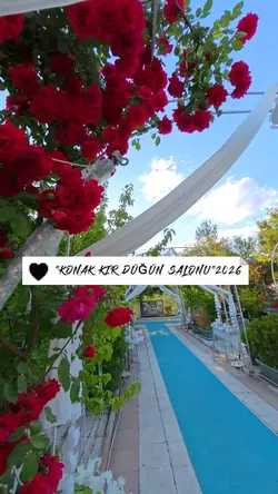 Tanıtım