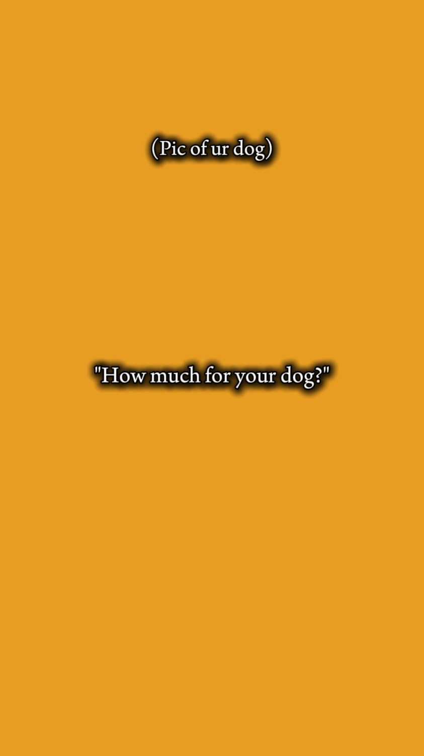 Tu perro