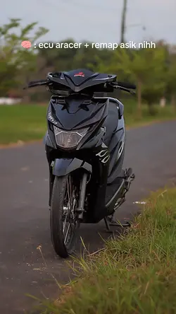 Ecu Aracer + Remap