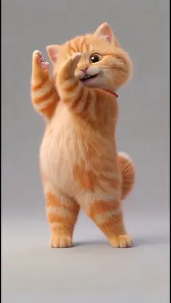 Bollywood Cat