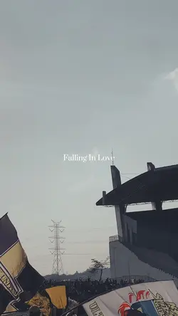 Falling in love 