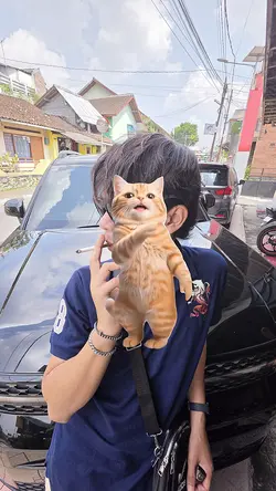 JJ Tren Kucing 