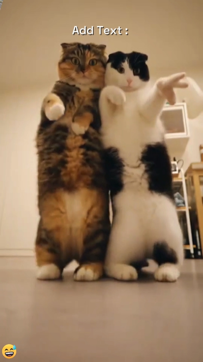 Tendance danse 