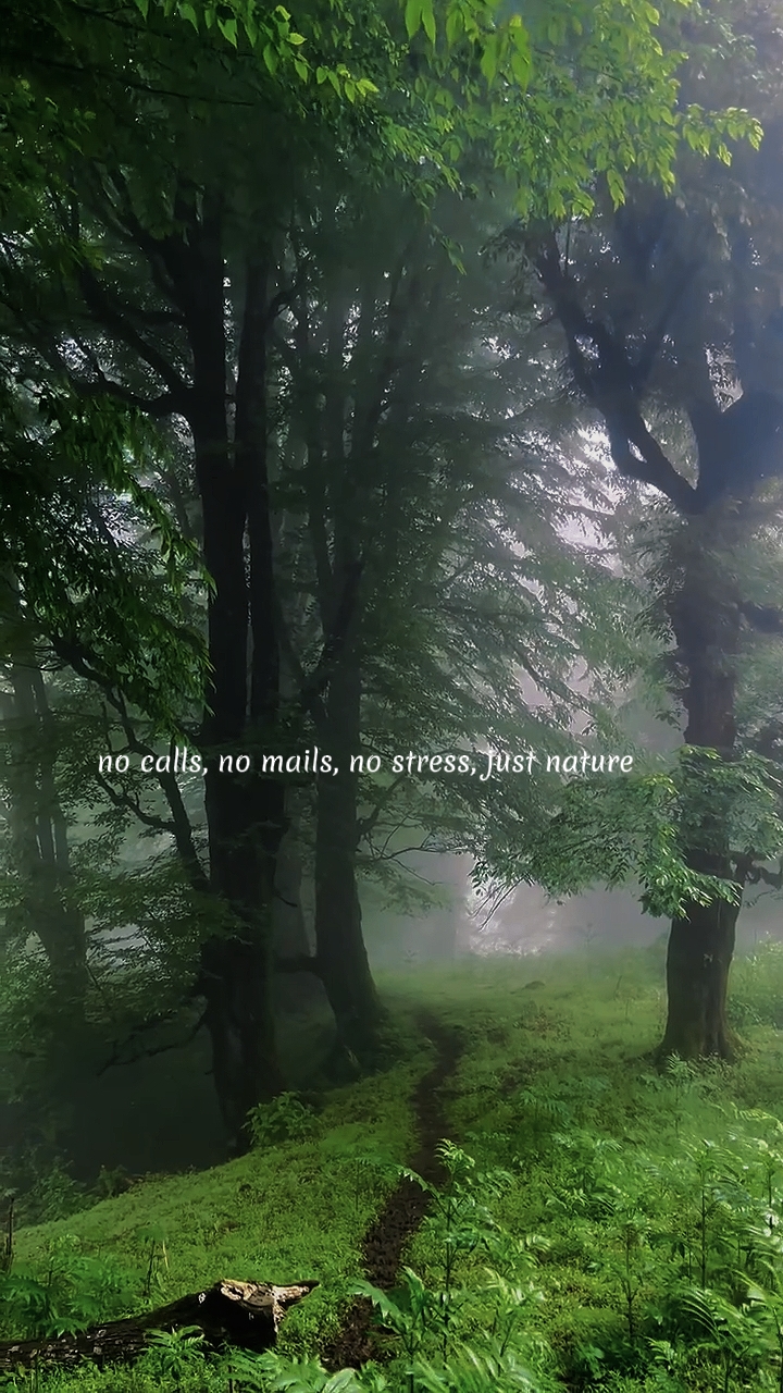 nature
