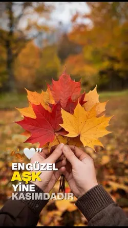 Kasımın şablonu 🍂🤍