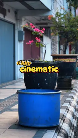 6 KLIP CINEMATIC