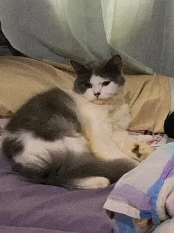 honey youre familiar