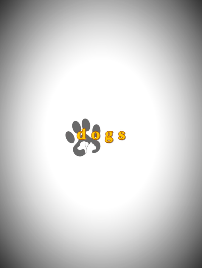 Cães