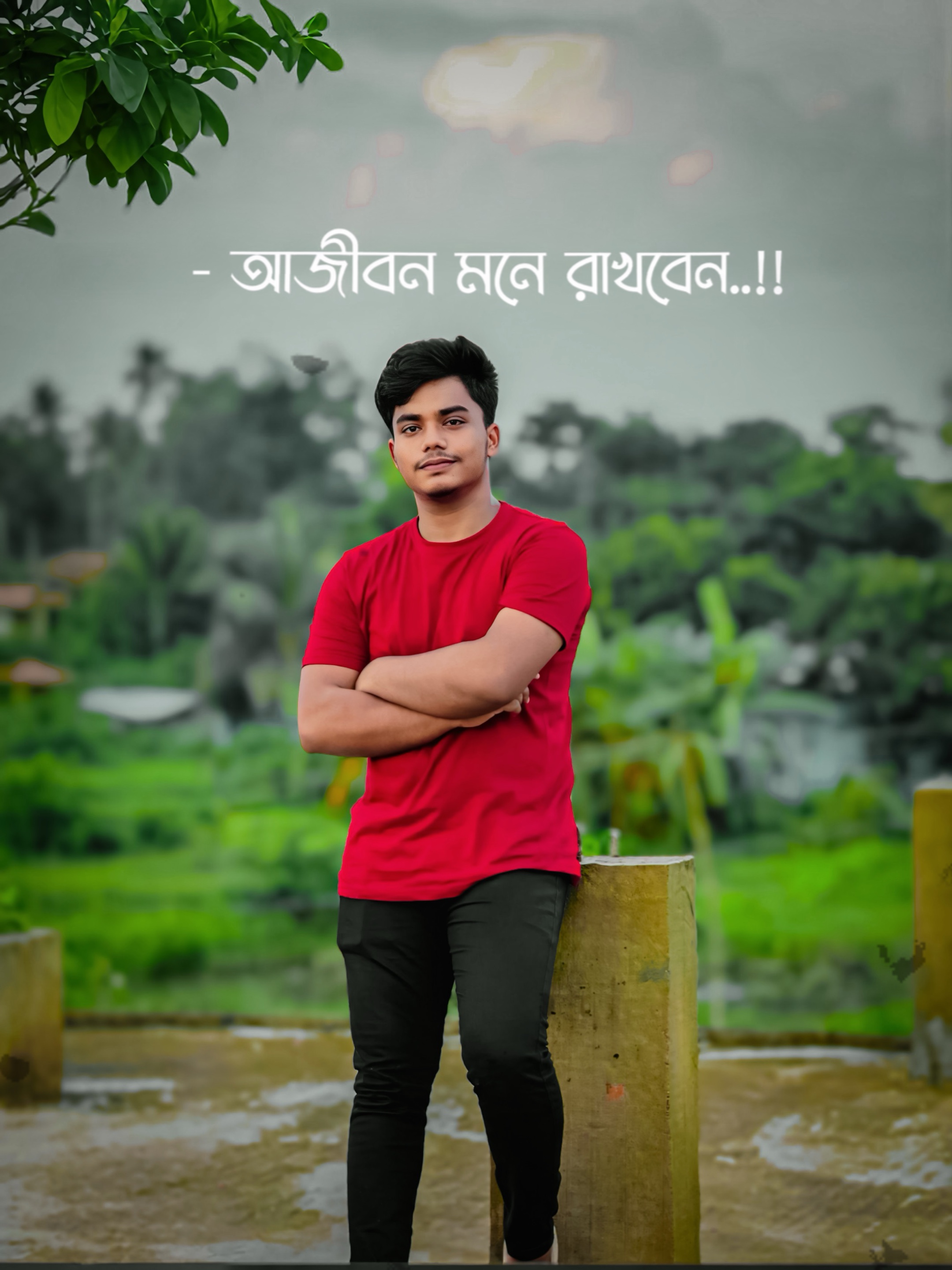 Cover Picture