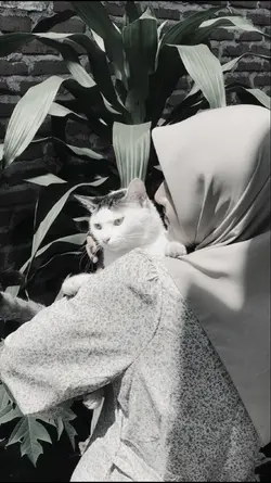 Tak ingin lagi
