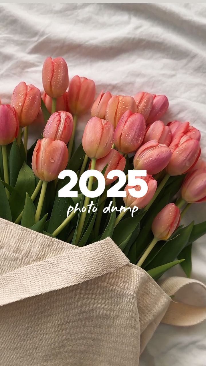 Despejo de fotos 2025