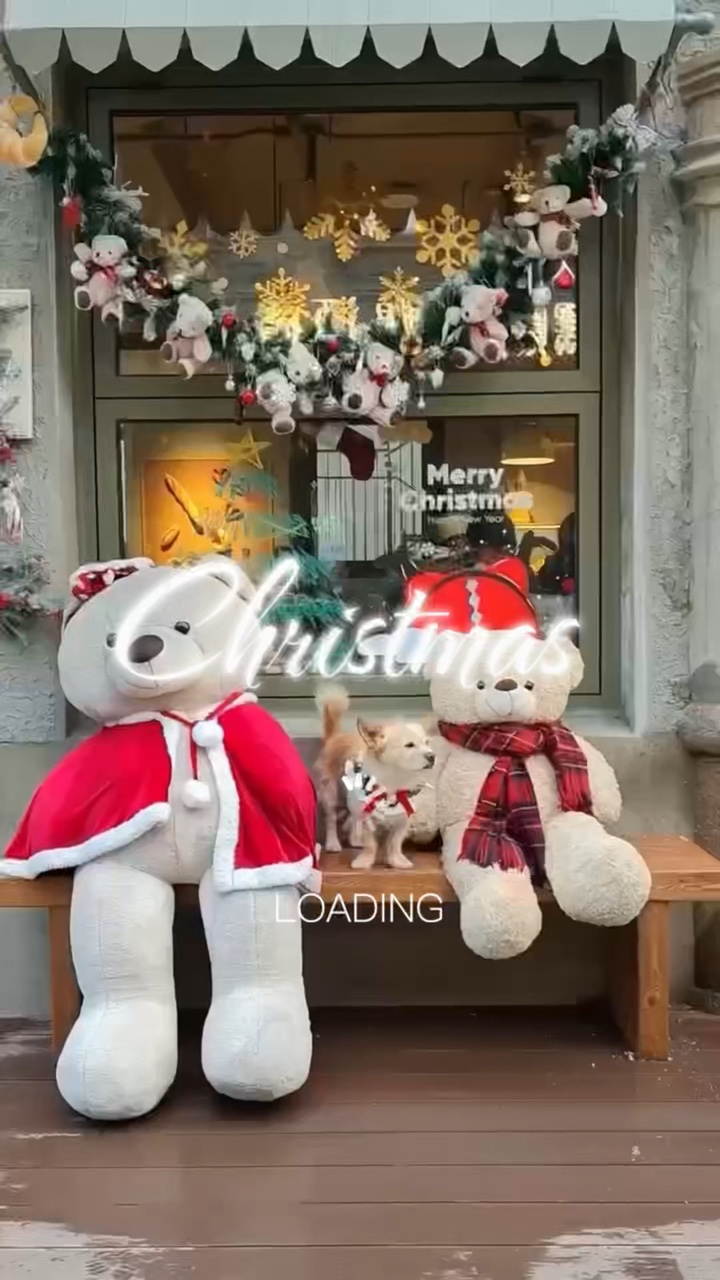 Animal de Noël