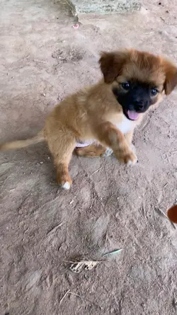 Cute Kiki 😍🌸