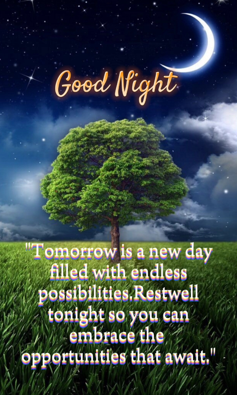 Good Night 