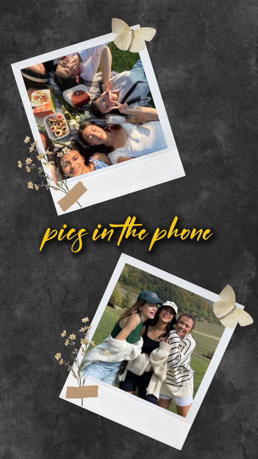 pics in the phone
