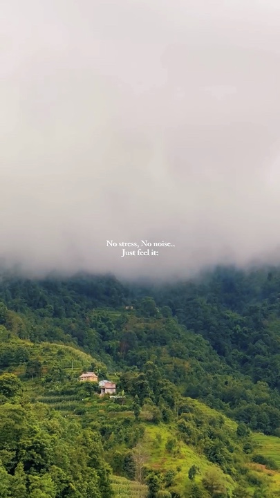 Natureza sem barulho